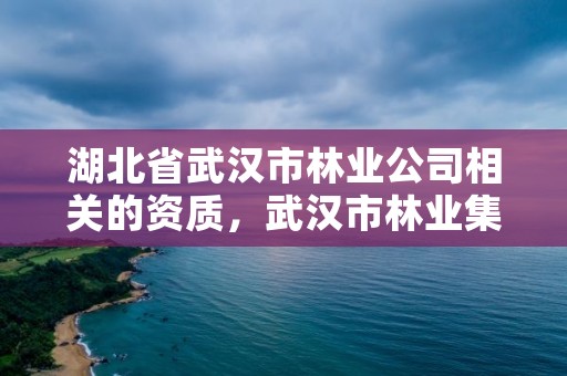 湖北省武汉市林业公司相关的资质，武汉市林业集团公司官网
