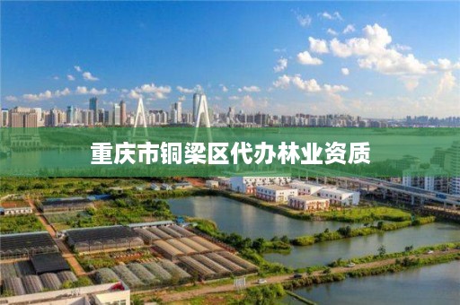 重庆市铜梁区代办林业资质