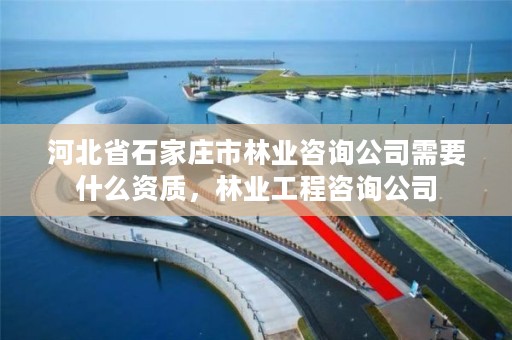 河北省石家庄市林业咨询公司需要什么资质,林业工程咨询公司
