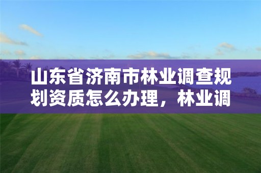 山东省济南市林业调查规划资质怎么办理,林业调查规划资质查询