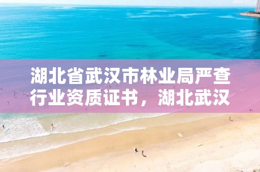 湖北省武汉市林业局严查行业资质证书，湖北武汉林业局电话号码