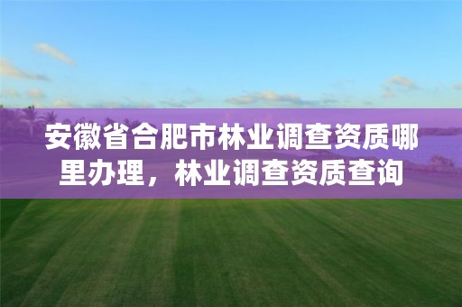 安徽省合肥市林业调查资质哪里办理，林业调查资质查询