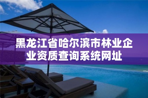 黑龙江省哈尔滨市林业企业资质查询系统网址