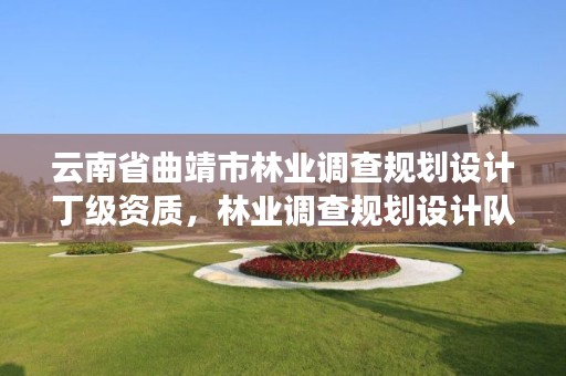 云南省曲靖市林业调查规划设计丁级资质,林业调查规划设计队丁级