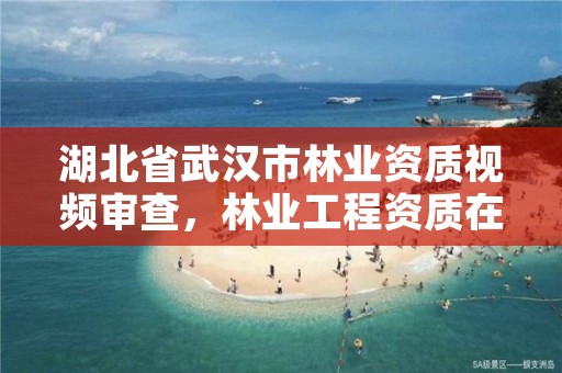 湖北省武汉市林业资质视频审查，林业工程资质在哪办