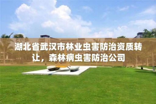 湖北省武汉市林业虫害防治资质转让，森林病虫害防治公司