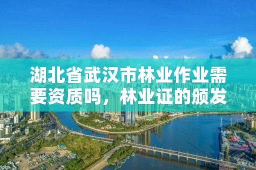 湖北省武汉市林业作业需要资质吗，林业证的颁发条件