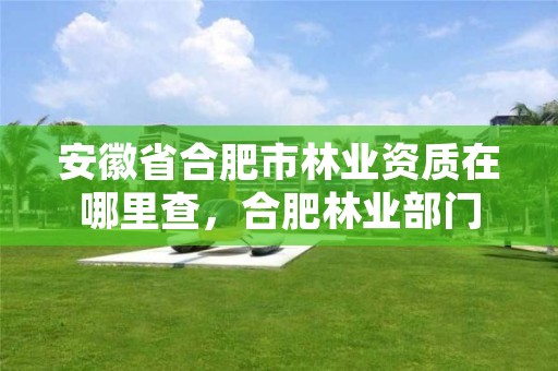 安徽省合肥市林业资质在哪里查，合肥林业部门