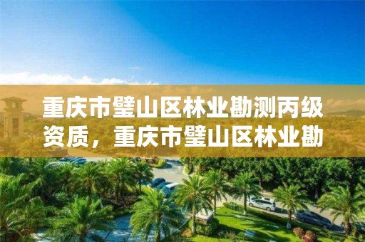 重庆市璧山区林业勘测丙级资质,重庆市璧山区林业勘测丙级资质企业名单