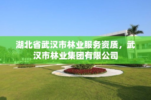 湖北省武汉市林业服务资质，武汉市林业集团有限公司