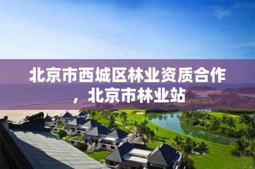 北京市西城区林业资质合作，北京市林业站