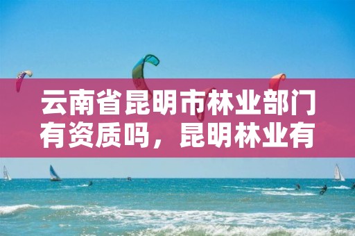 云南省昆明市林业部门有资质吗，昆明林业有限公司