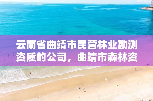 云南省曲靖市民营林业勘测资质的公司，曲靖市森林资源