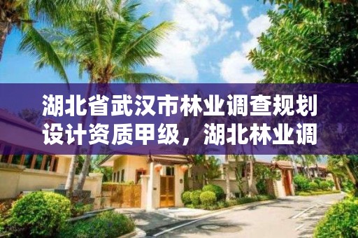 湖北省武汉市林业调查规划设计资质甲级，湖北林业调查规划院附近租房
