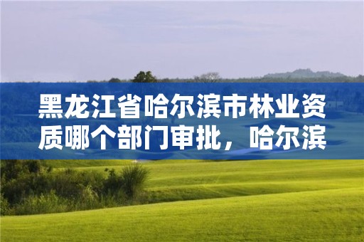 黑龙江省哈尔滨市林业资质哪个部门审批,哈尔滨林业厅地址