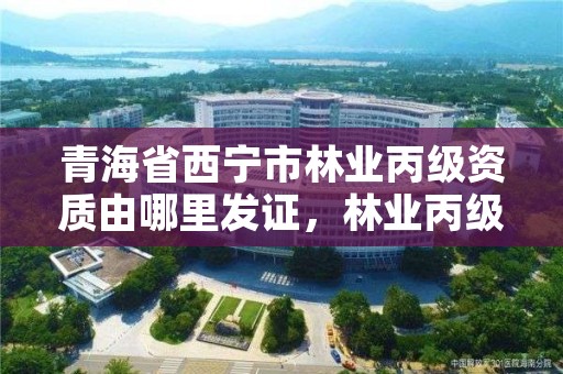 青海省西宁市林业丙级资质由哪里发证,林业丙级资质业务范围