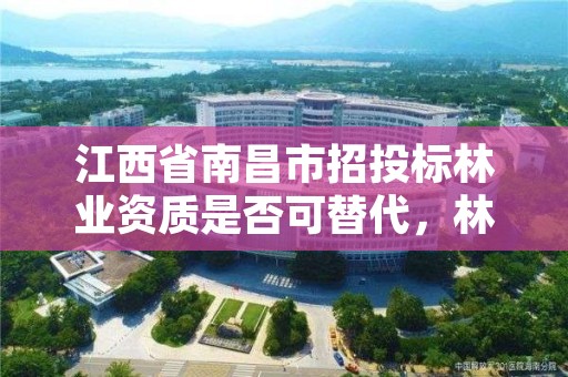 江西省南昌市招投标林业资质是否可替代,林业项目招投标规定
