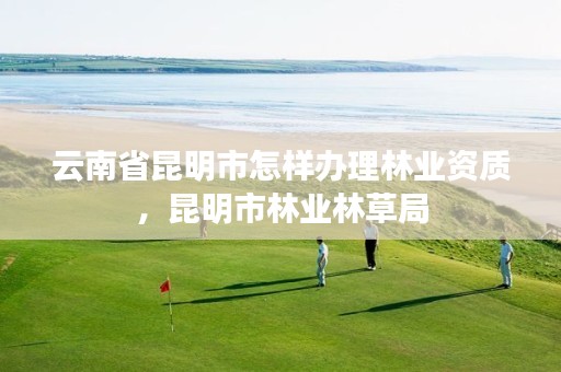 云南省昆明市怎样办理林业资质，昆明市林业林草局