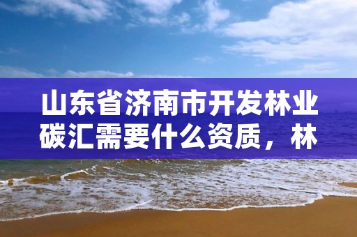 山东省济南市开发林业碳汇需要什么资质,林业碳汇开发公司