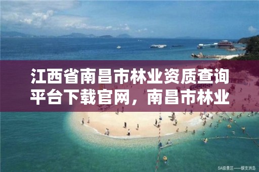 江西省南昌市林业资质查询平台下载官网,南昌市林业工业公司
