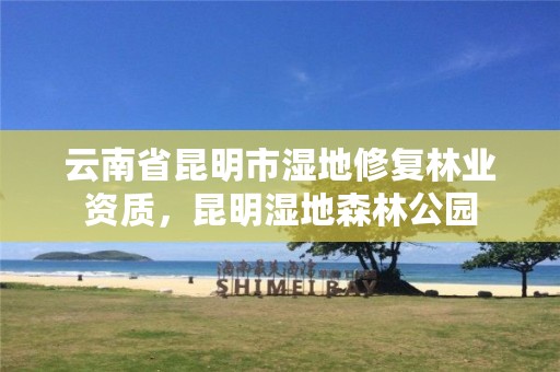 云南省昆明市湿地修复林业资质,昆明湿地森林公园