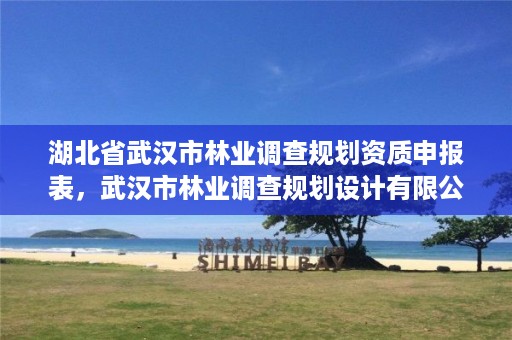 湖北省武汉市林业调查规划资质申报表,武汉市林业调查规划设计有限公司