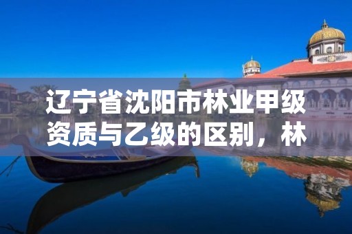 辽宁省沈阳市林业甲级资质与乙级的区别，林业资质证书丙级