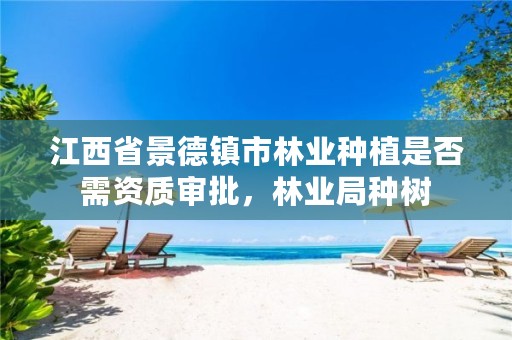 江西省景德镇市林业种植是否需资质审批,林业局种树