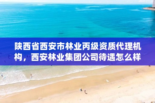 陕西省西安市林业丙级资质代理机构,西安林业集团公司待遇怎么样
