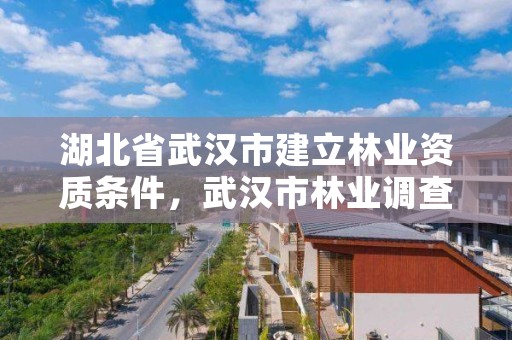 湖北省武汉市建立林业资质条件，武汉市林业调查规划设计有限公司