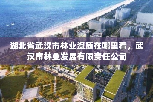 湖北省武汉市林业资质在哪里看，武汉市林业发展有限责任公司
