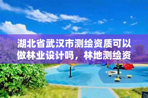 湖北省武汉市测绘资质可以做林业设计吗，林地测绘资质