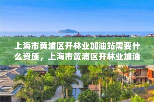 上海市黄浦区开林业加油站需要什么资质,上海市黄浦区开林业加油站需要什么资质