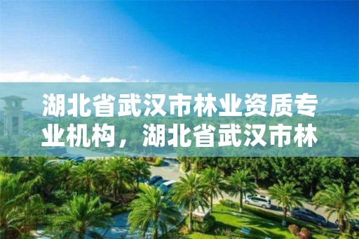 湖北省武汉市林业资质专业机构，湖北省武汉市林业局
