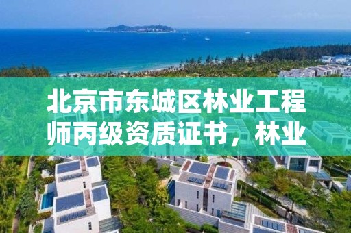 北京市东城区林业工程师丙级资质证书,林业丙级资质业务范围