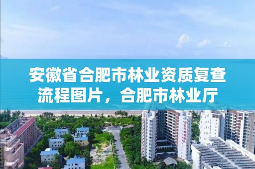 安徽省合肥市林业资质复查流程图片，合肥市林业厅