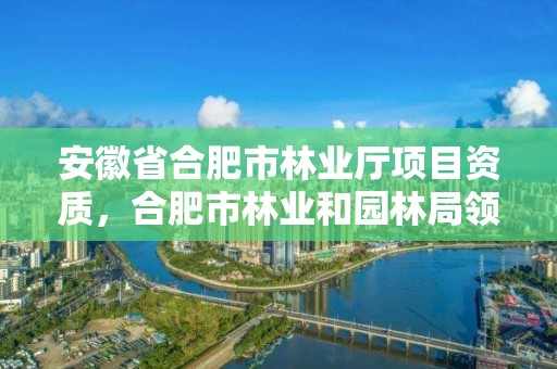 安徽省合肥市林业厅项目资质，合肥市林业和园林局领导班子