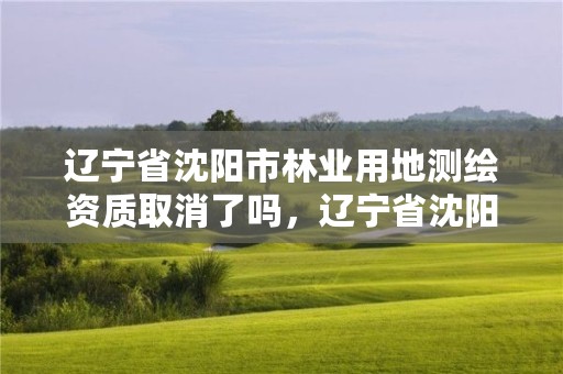 辽宁省沈阳市林业用地测绘资质取消了吗，辽宁省沈阳市林业用地测绘资质取消了吗
