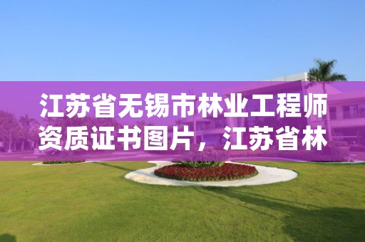 江苏省无锡市林业工程师资质证书图片,江苏省林业工程师资格