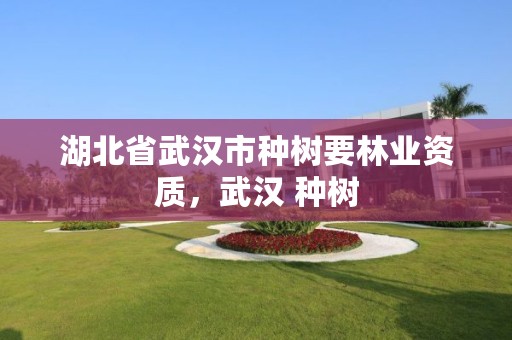 湖北省武汉市种树要林业资质，武汉 种树