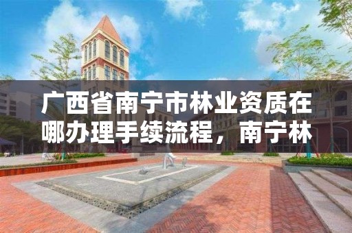 广西省南宁市林业资质在哪办理手续流程,南宁林业集团地址