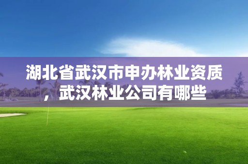 湖北省武汉市申办林业资质，武汉林业公司有哪些