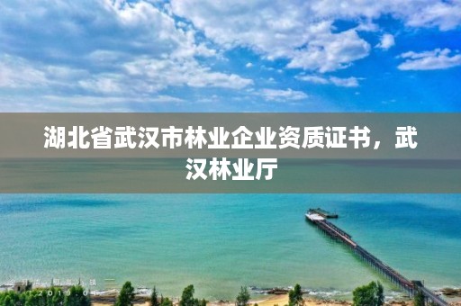 湖北省武汉市林业企业资质证书，武汉林业厅