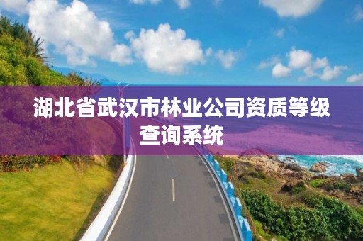 湖北省武汉市林业公司资质等级查询系统