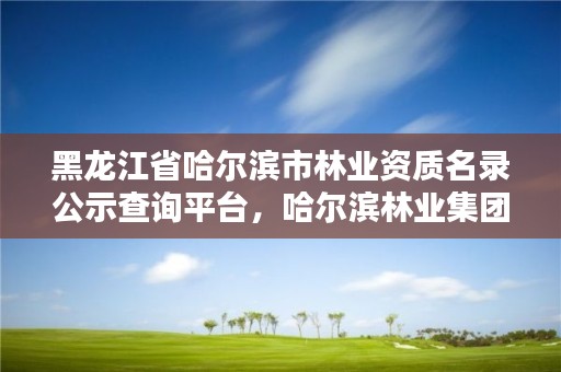 黑龙江省哈尔滨市林业资质名录公示查询平台,哈尔滨林业集团