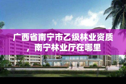广西省南宁市乙级林业资质,南宁林业厅在哪里