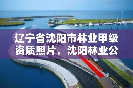 辽宁省沈阳市林业甲级资质照片，沈阳林业公司