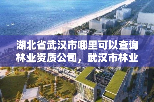 湖北省武汉市哪里可以查询林业资质公司，武汉市林业集团有限公司