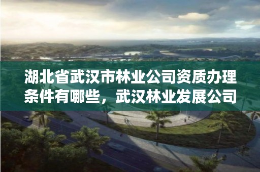 湖北省武汉市林业公司资质办理条件有哪些,武汉林业发展公司