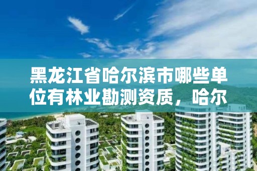 黑龙江省哈尔滨市哪些单位有林业勘测资质,哈尔滨林业局管辖范围